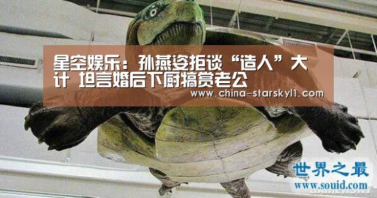 星空娱乐:孙燕姿拒谈“造人”大计 坦言婚后下厨犒赏老公(图1) 星空娱乐