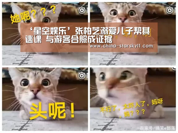 星空娱乐