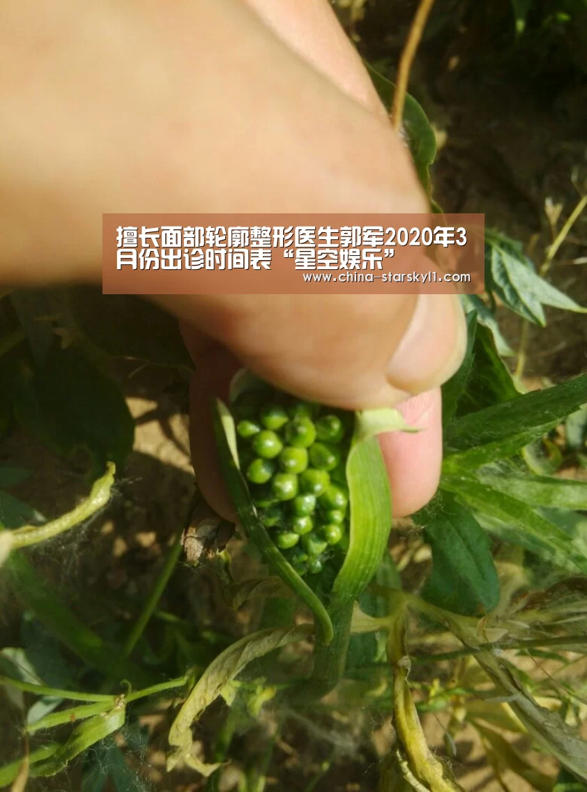星空娱乐